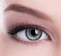 Image result for Grey Colored Contact Lenses
