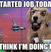 Image result for When Its Your First Day On the Job Meme