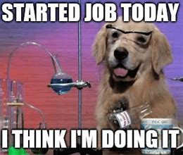 Image result for 1At Day On the Job Meme