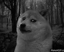 Image result for Doge Cry Meme