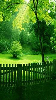 Image result for Green Wallpaper Images for Phone