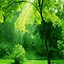 Image result for iPhone 5C Wallpaper Green