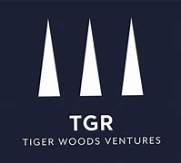 Image result for Tiger Woods New Logo