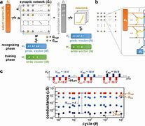 Image result for Binary Network