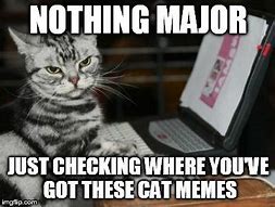 Image result for Funny Cat Computer Meme