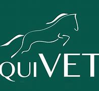 Image result for equiwet�ceo