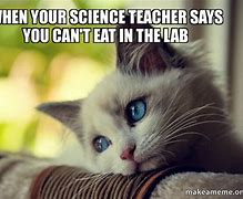 Image result for Funny Science Teacher Memes