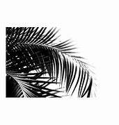 Image result for Black and White Vibes