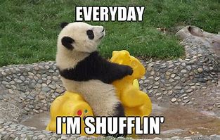 Image result for Every Day Were Shuffling