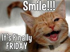 Image result for Summer Friday Funny