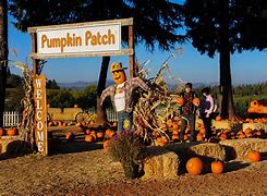 Image result for Where Is Apple Hill CA