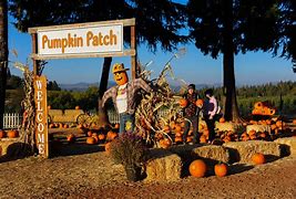 Image result for Apple Hill October