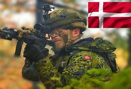 Image result for Danish Army Meme
