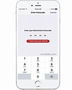 Image result for iPhone Lockout Reset