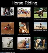 Image result for Horse Racing Humor