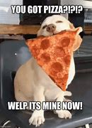 Image result for Dog Pizza Salad Meme