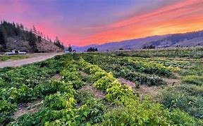 Image result for Methow Valley Airport Photos