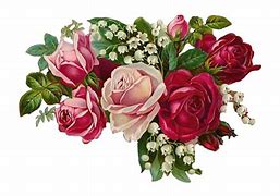Image result for Vintage Birthday Flowers
