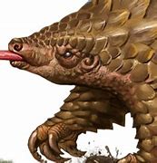 Image result for Pathfinder Pangolin