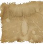 Image result for papers textures backgrounds