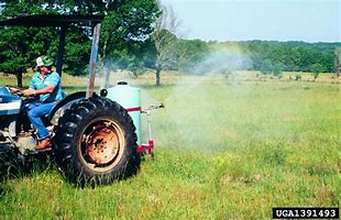 Image result for Pasture Pro Herbicide