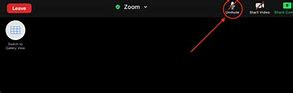 Image result for Red Leave Button On Zoom Tablet