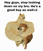 Image result for Sly Doge Meme
