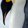 Image result for Emperor Penguin Group
