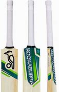 Image result for A Cricket Bat