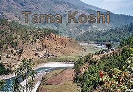 Image result for Tama Kosi River