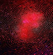 Image result for Digital Fingerprint