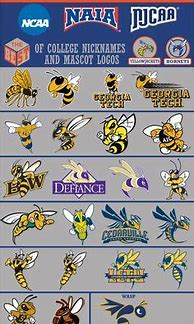 Image result for Sports Mascots Logos