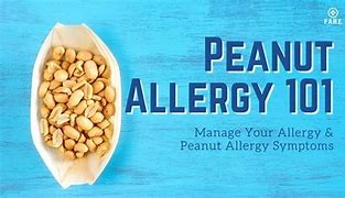 Image result for Peanut Allergy