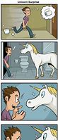 Image result for Unicorn Humor