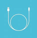 Image result for iPhone OTG USB Cable