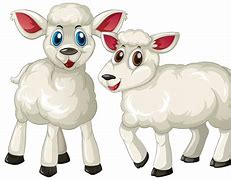 Image result for Lamb Vector
