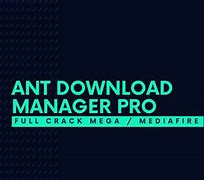 Image result for Ant Download Manager
