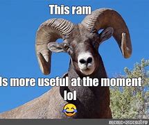 Image result for RAM Stick Meme