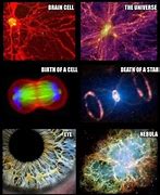 Image result for Brain Cell Map Universe