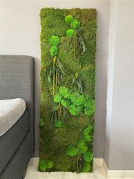Image result for Preserved Moss Wall Art
