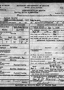 Image result for Michigan Death Certificates