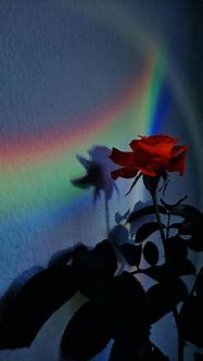 Image result for Aesthetic Desktop Rainbow