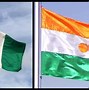 Image result for Delphi India Flag