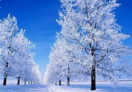 Image result for Snow On Computer Screen