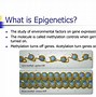 Image result for Epigenetics Generational Inheritance Image