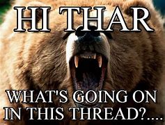 Image result for Angry Bear Meme