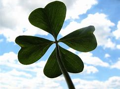 Image result for 4 Leaf Clover Aesthetic