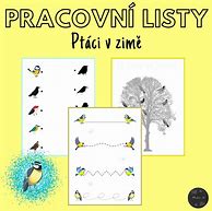 Image result for Pracovni List Ptaci