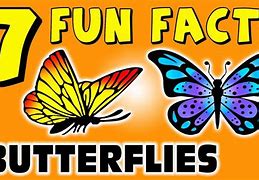Image result for Crazy Fun Facts for Kids