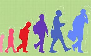 Image result for 5 Stages of Human Growth and Development